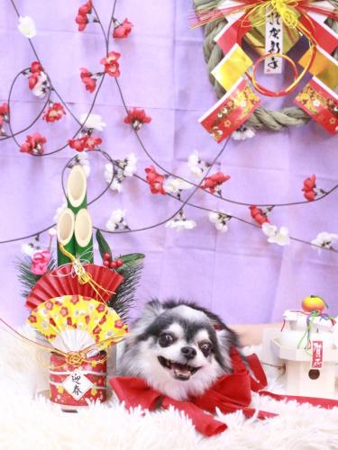 20230121クオンくん